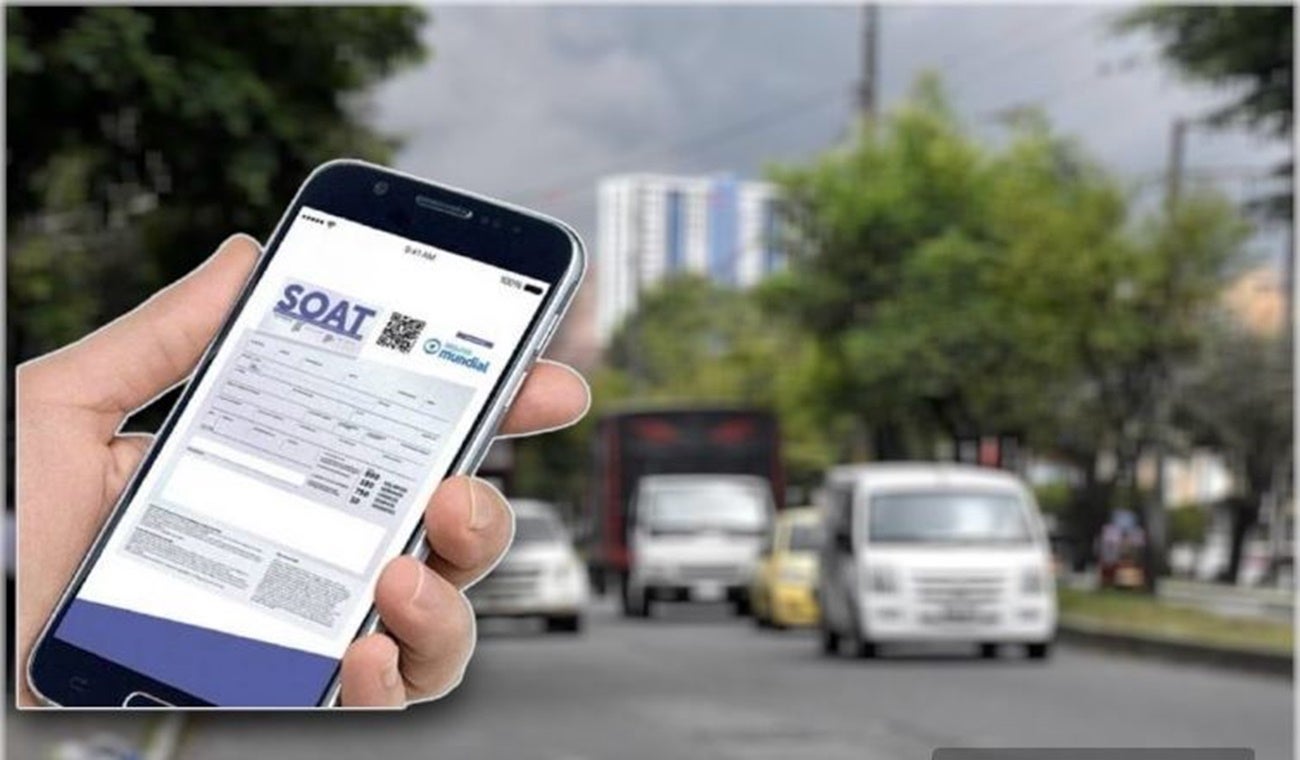 Carrera Quinta de Ibagué