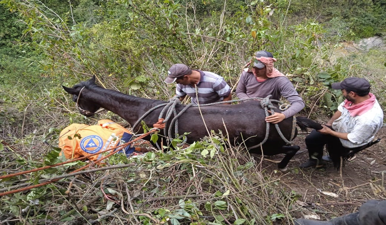 Rescate de una yegua en Villahermosa