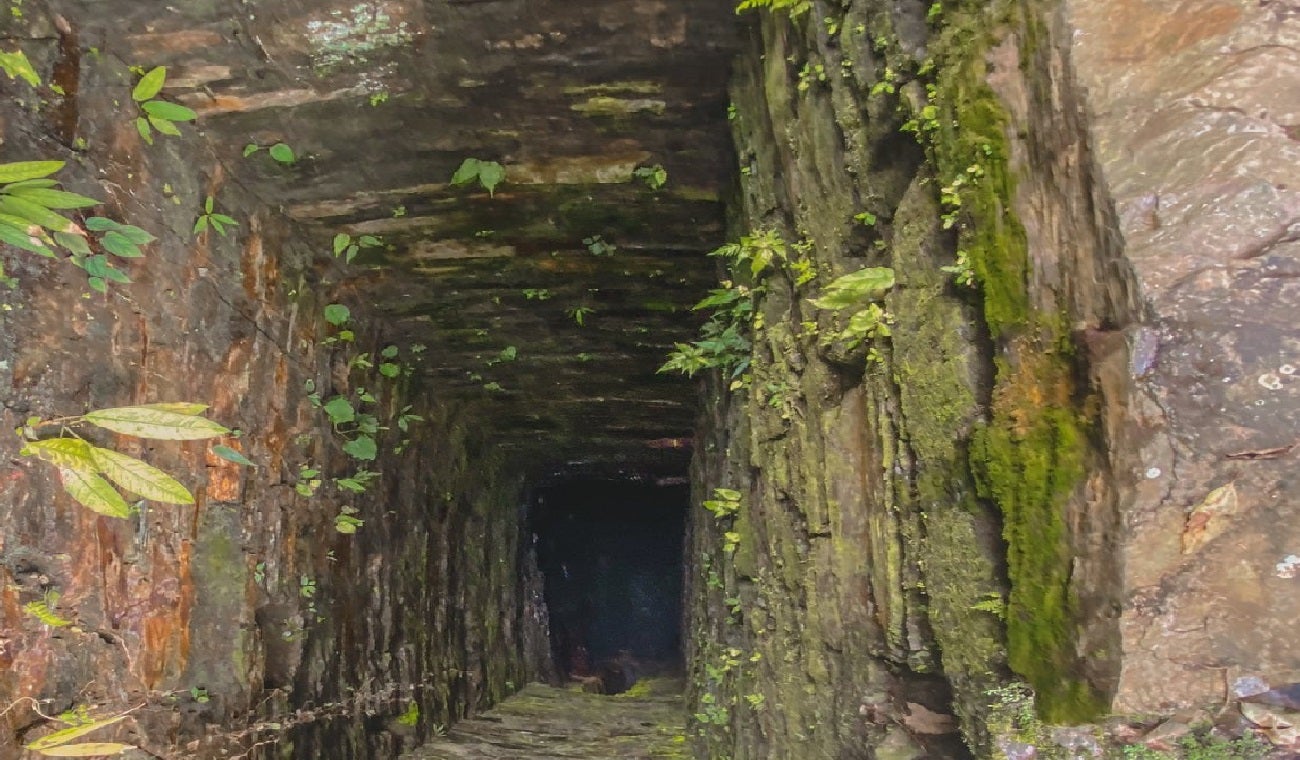 Ciudad Perdida Falan