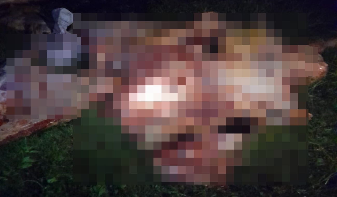 Abigeato en Purificación