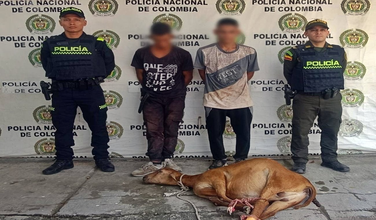 Cayeron los alias ‘Juan y Jan’ dedicados al abigeato en Natagaima