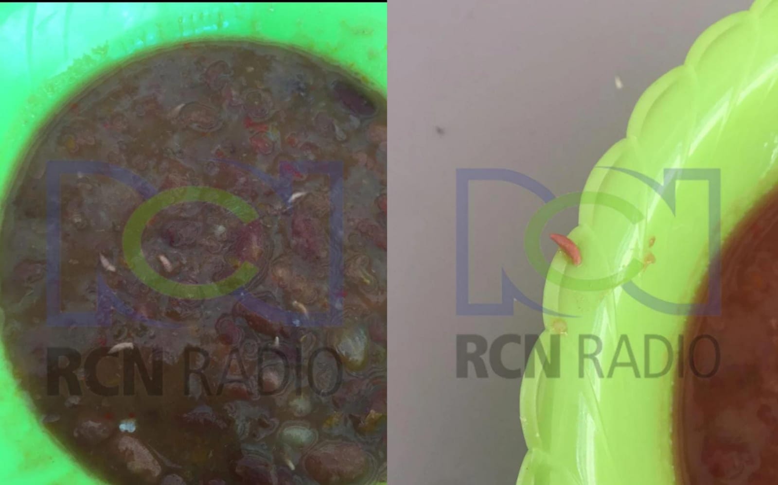 Polémica del Pae en Neiva ¿gusanos o raíces?