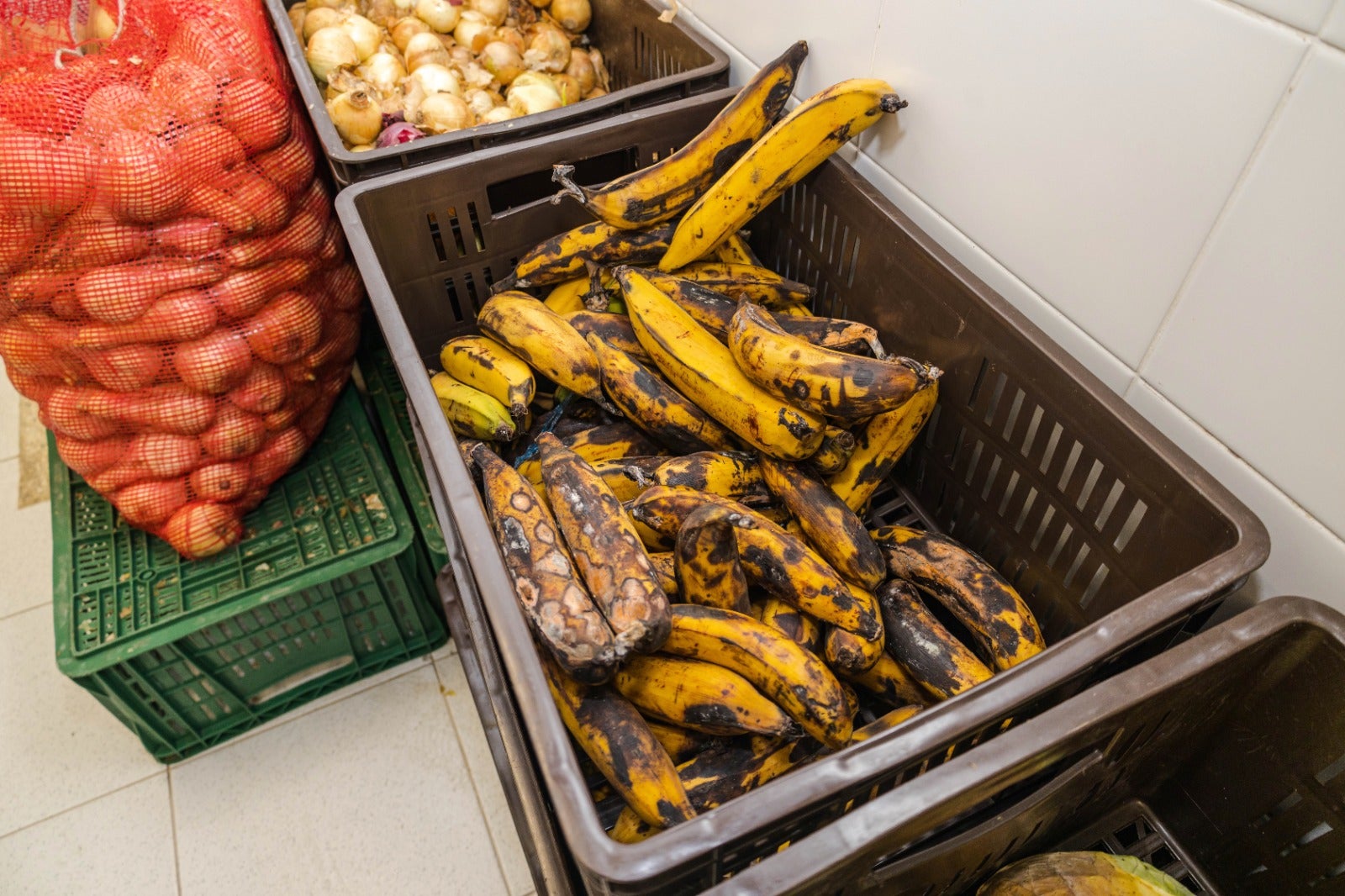 Institución Educativa de Neiva con posibles incumplimientos en el contrato del PAE