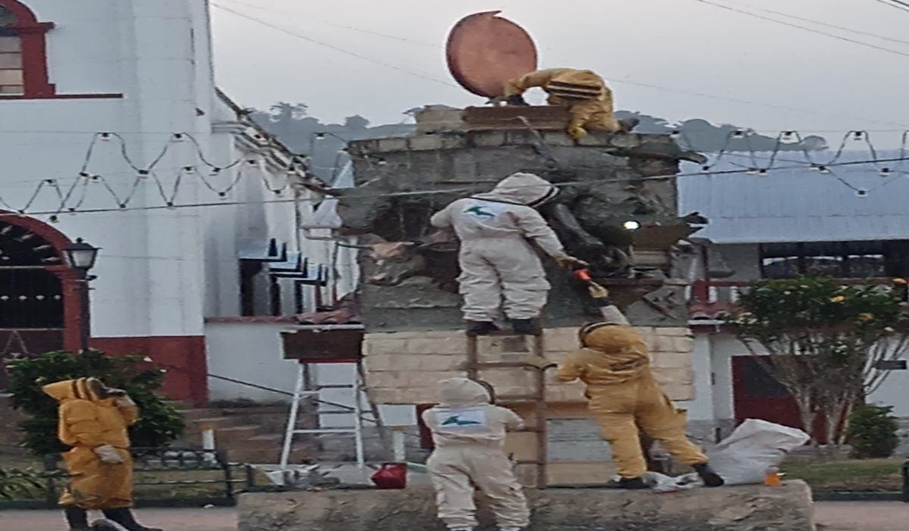 Picadura abejas Villahermosa