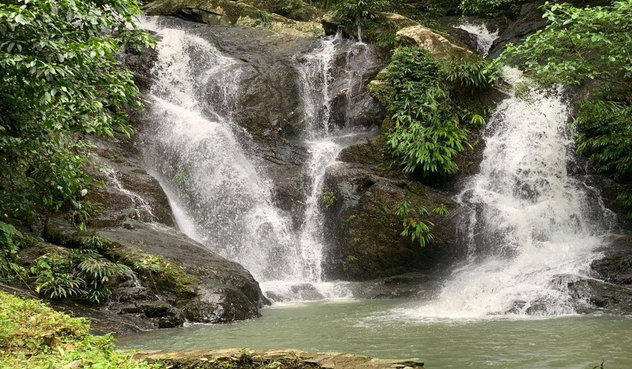 Reserva natural en Falan