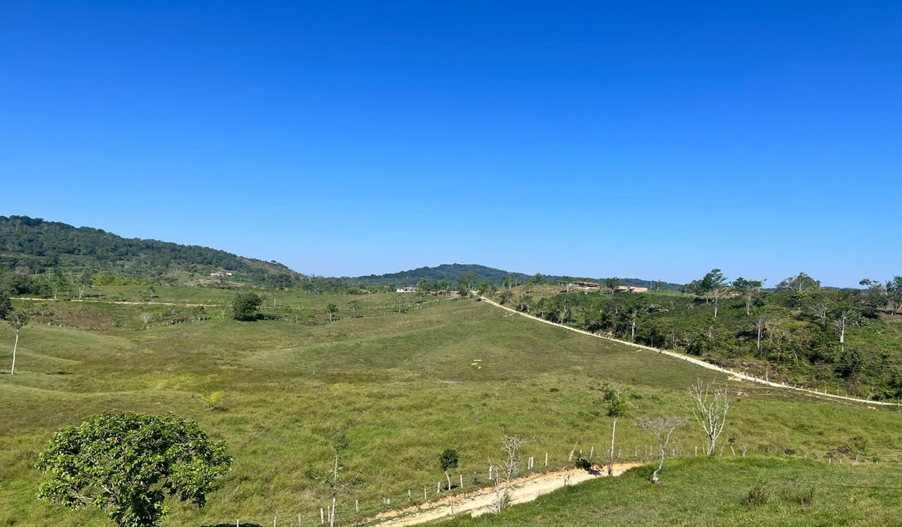 Tierras en el Tolima