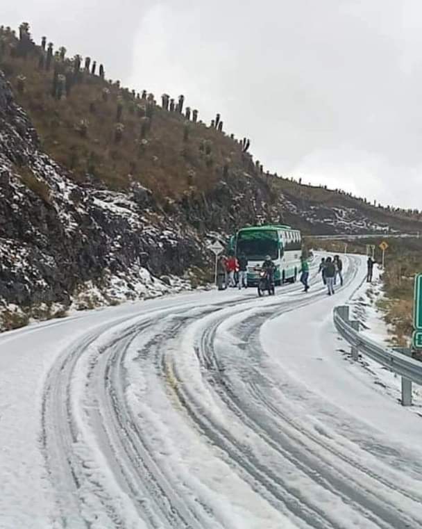 Las fotografías se virilizaron