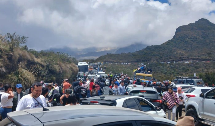 En Tolima realizan controles para evitar que turistas accedan a áreas protegidas a interactuar con frailejones