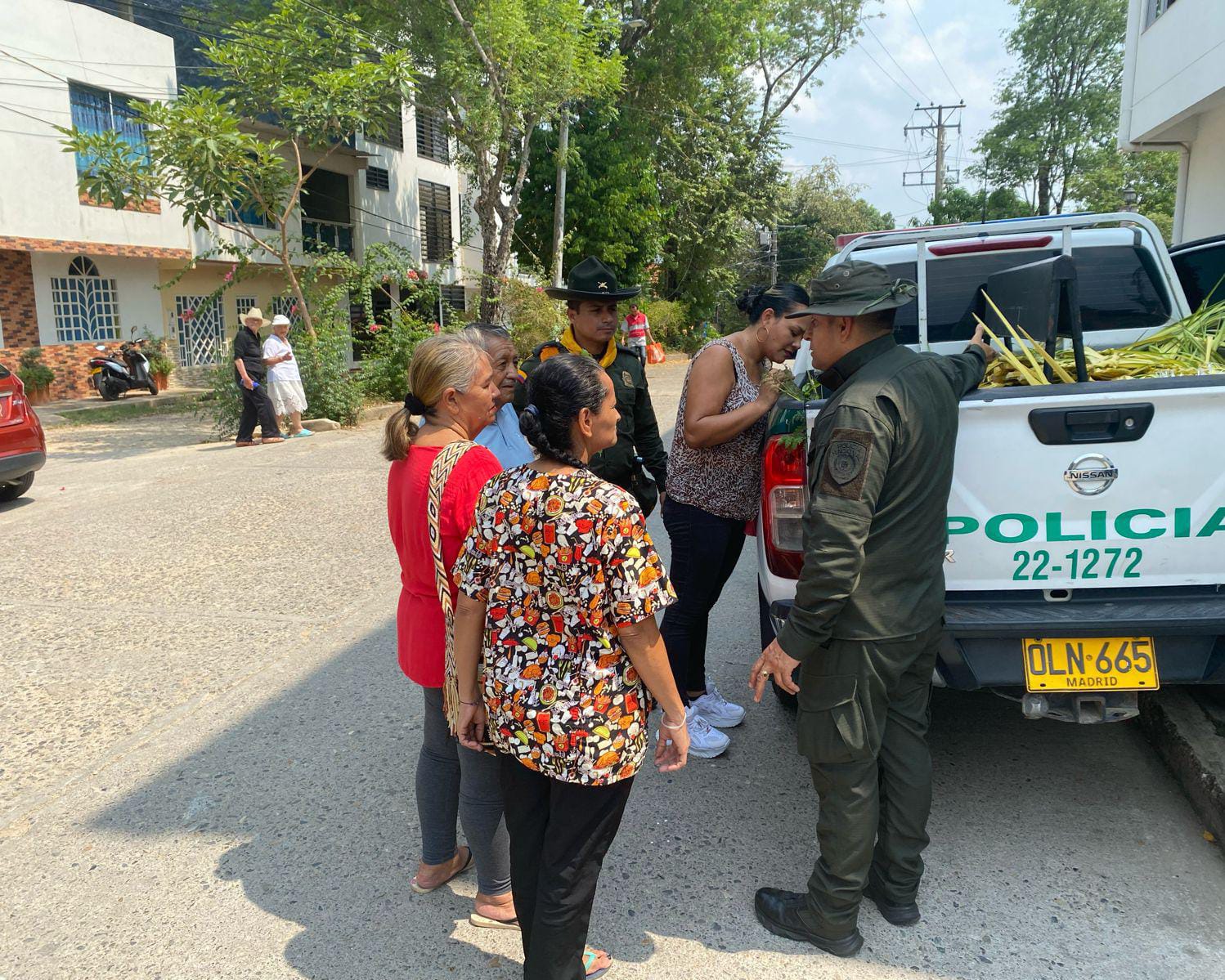 Detol regaló arboles