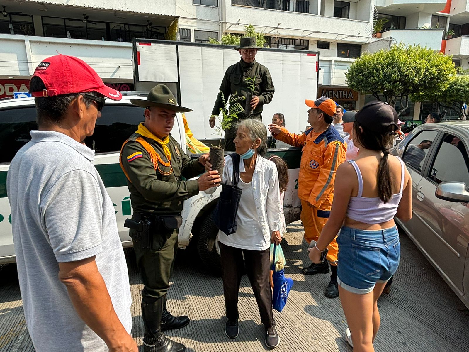 Detol regaló arboles