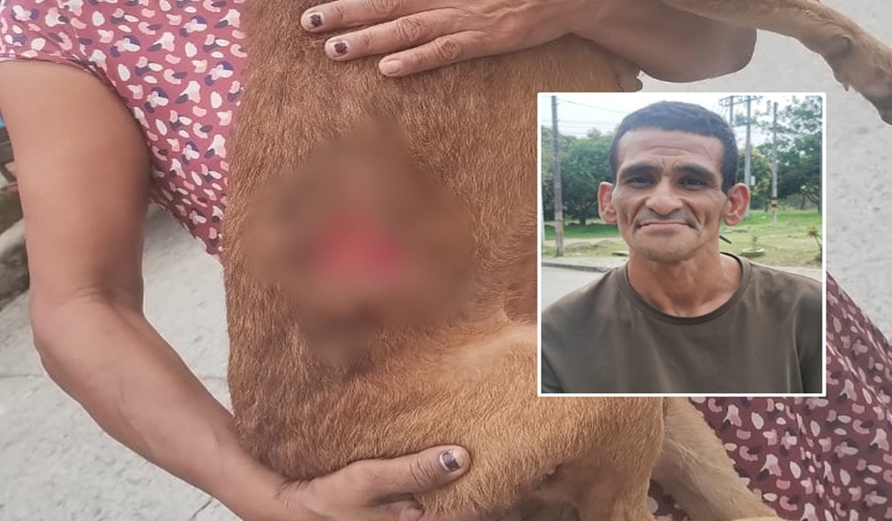 Sujeto apuñaló a una perrita frente al Polideportivo de Picaleña en Ibagué