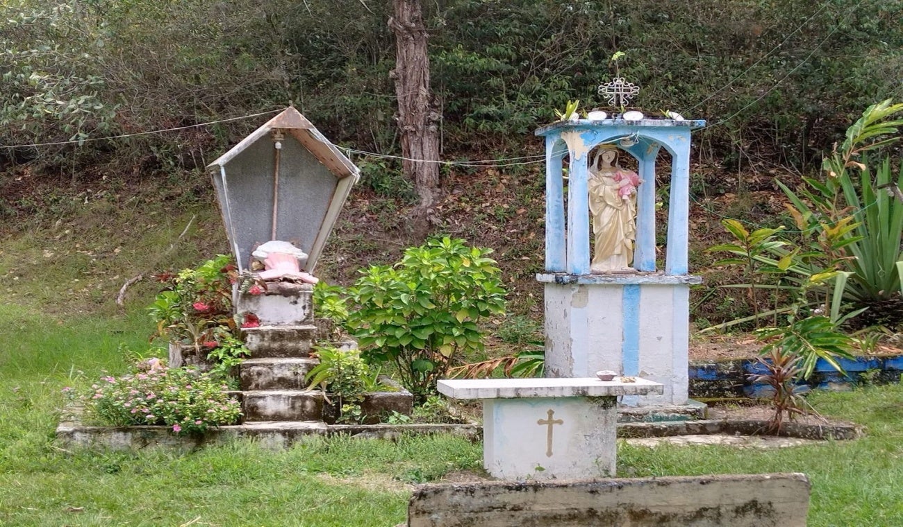 Vandalismo San Antonio