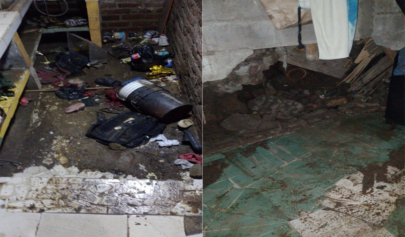 san pedro alejandrino