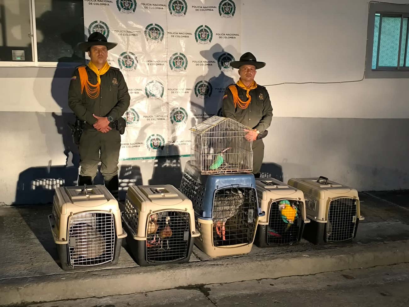 Tráfico de especies