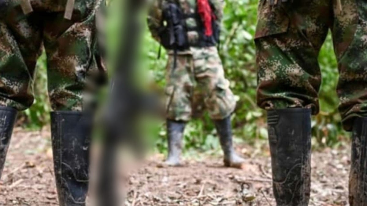 Extra: Las Farc estarían reclutando menores en planadas y Rioblanco, sur del Tolima