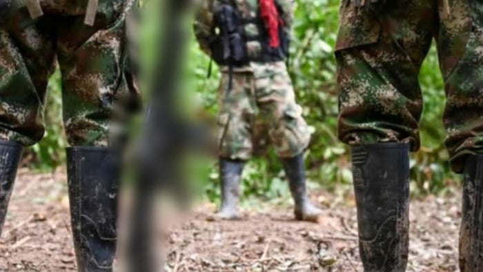 Extra: Las Farc estarían reclutando menores en planadas y Rioblanco, sur del Tolima