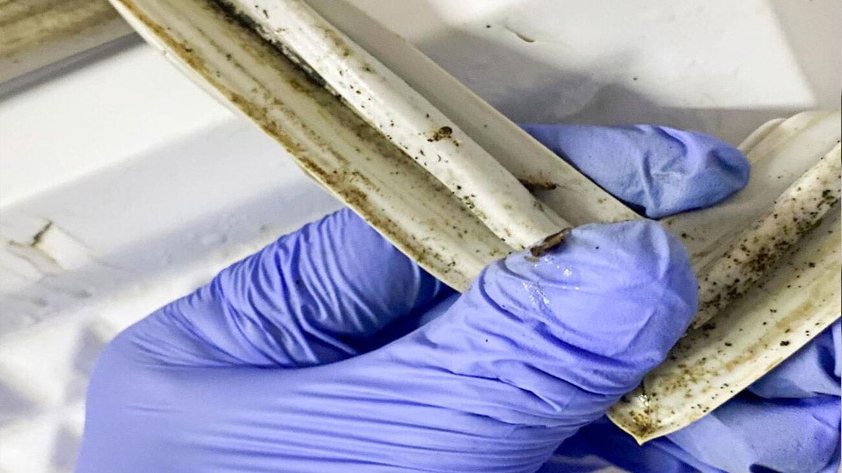 suciedad imagen de referencia 2024