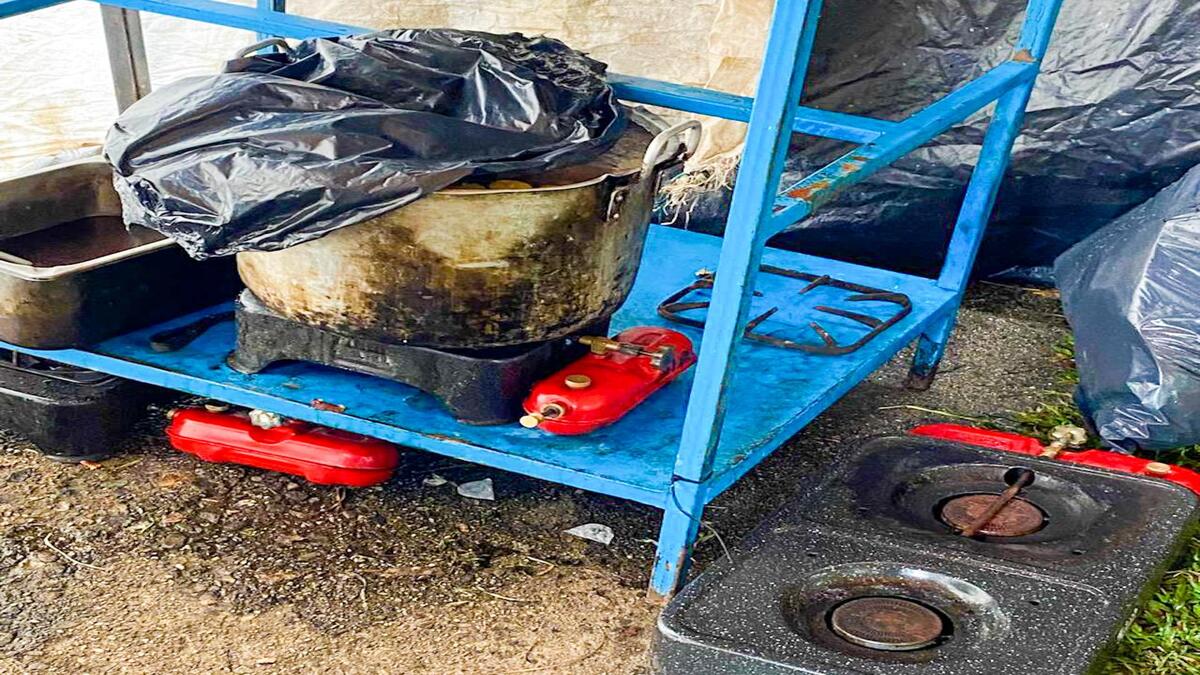 Tamales en mal estado