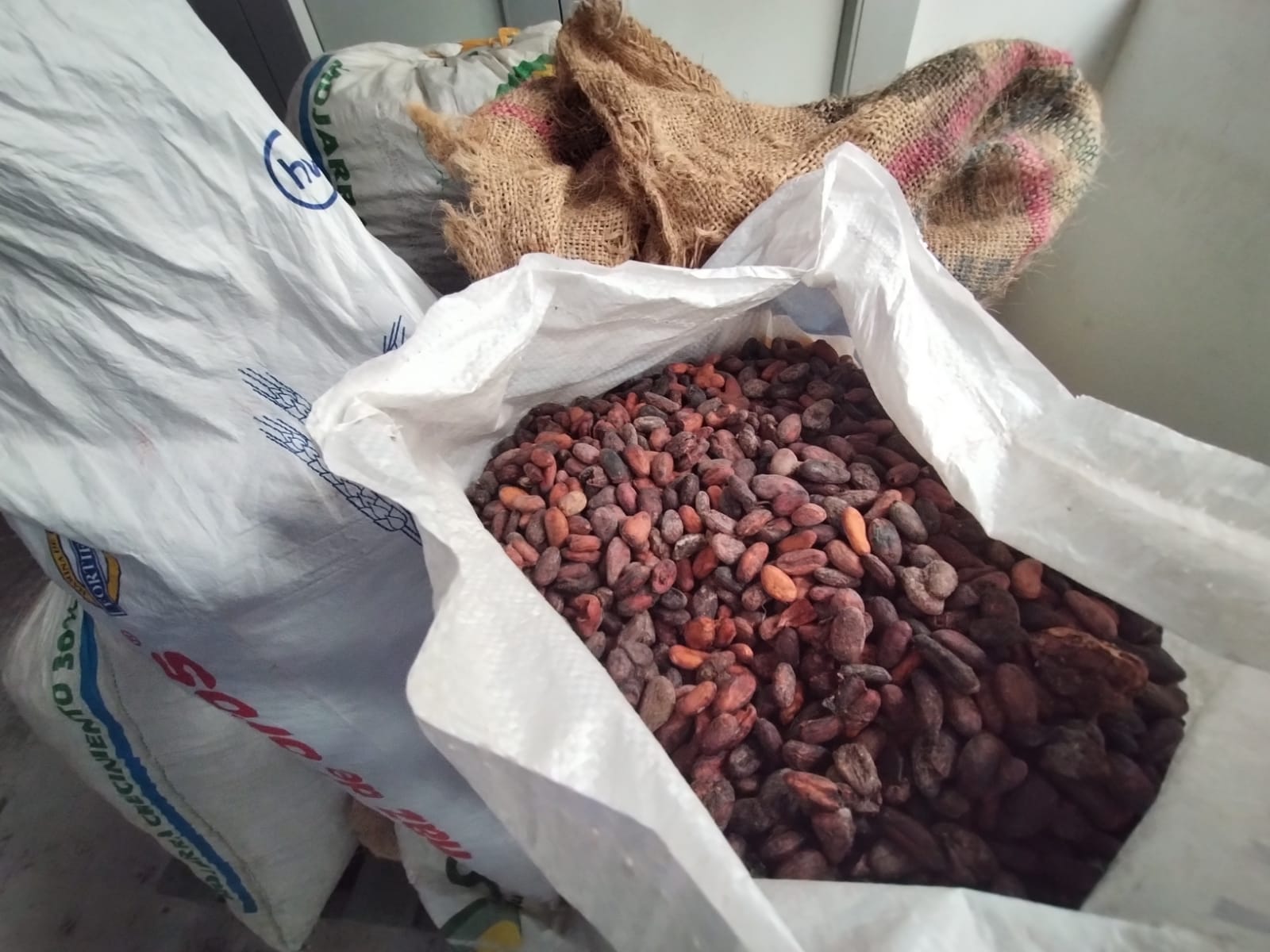 Cacao