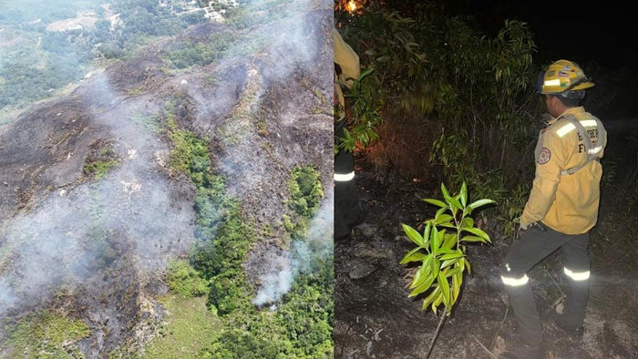 Monitorean área en la que se presentó incendio forestal entre Melgar, Cunday y Carmen de Apicalá.