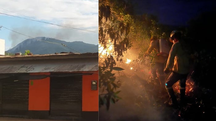 Controlan incendio forestal entre Melgar, Cunday y Carmen de Apicalá