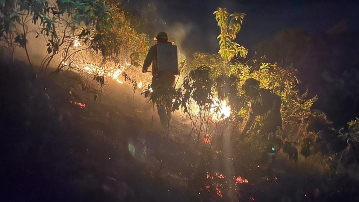 Incendio forestal en límites de los municipios de Melgar y Cunday.