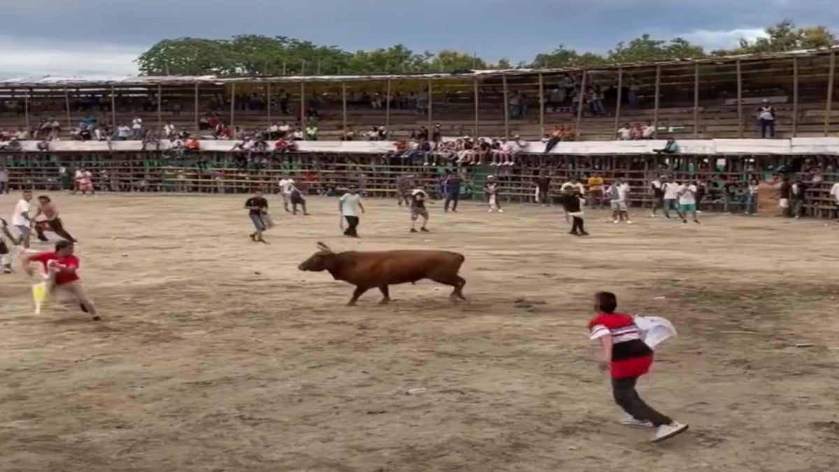 Plaza de toros en el Guamo