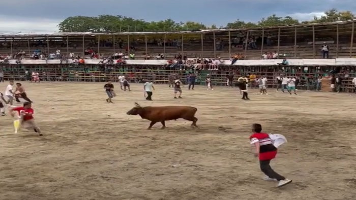 Plaza de toros en el Guamo