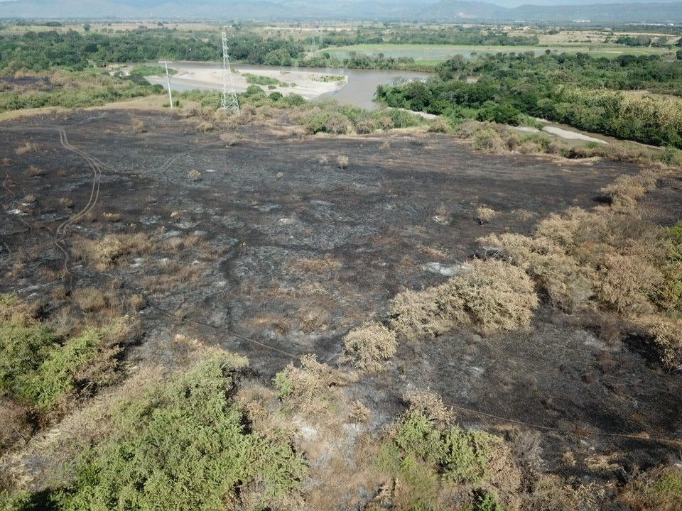 Incendios Forestales Neiva