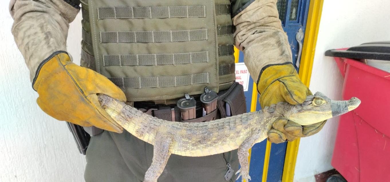 Policía Ambiental Controles