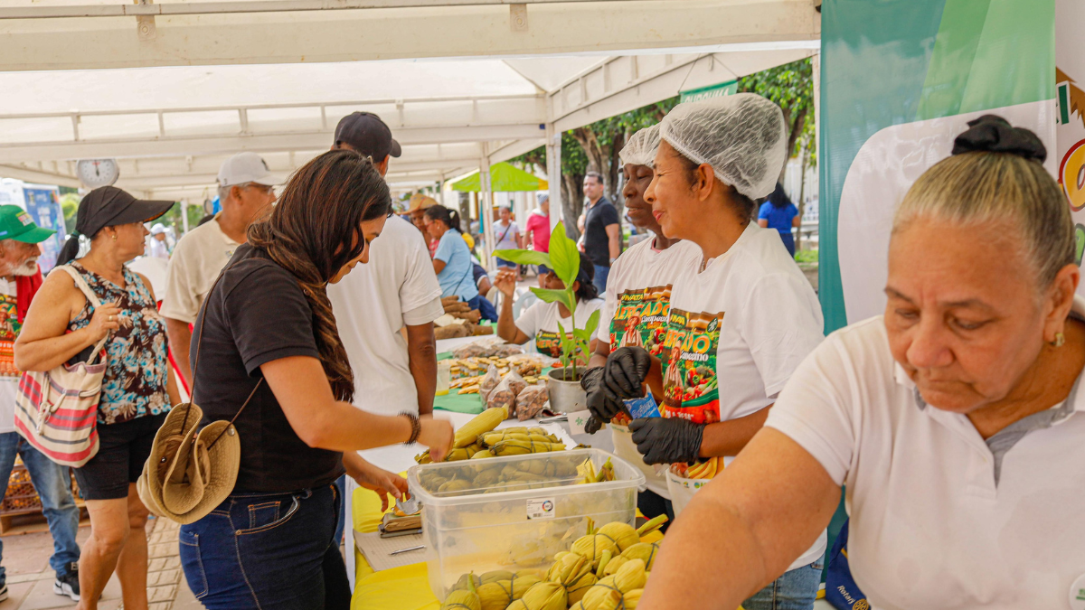 Mercado regional campesino