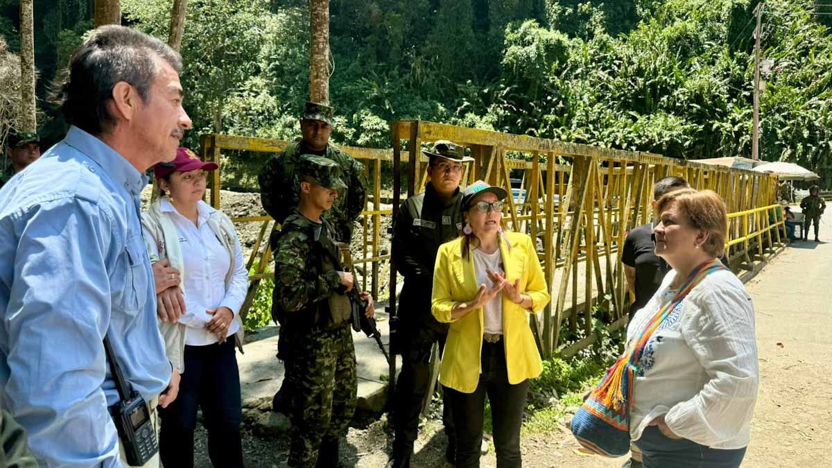 Parque natural nacional de los nevados