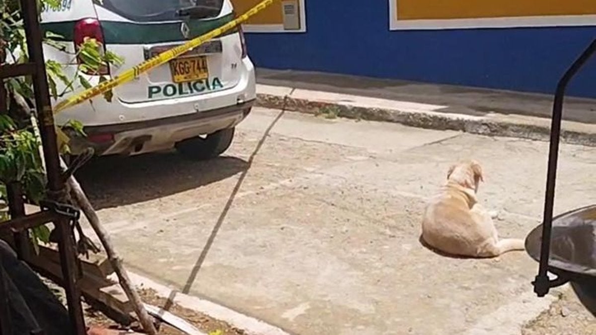Tiroteo en ferretería de San Bernardo deja un muerto y un herido
