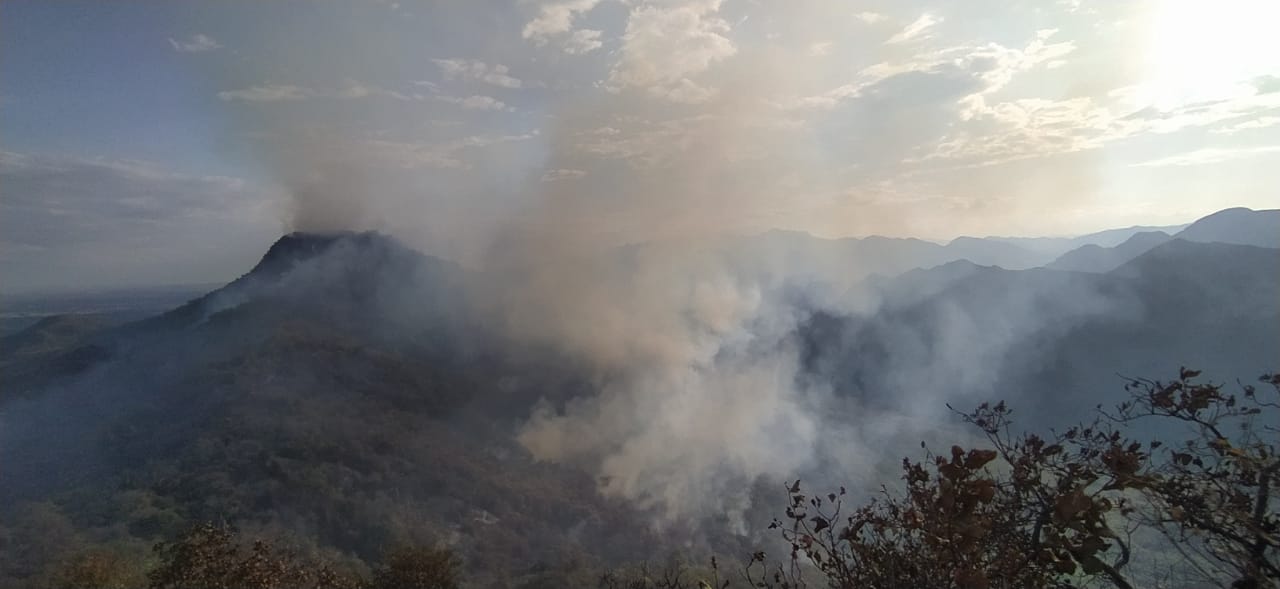 Más de 23.000 hectáreas afectadas por incendios en el Huila.
