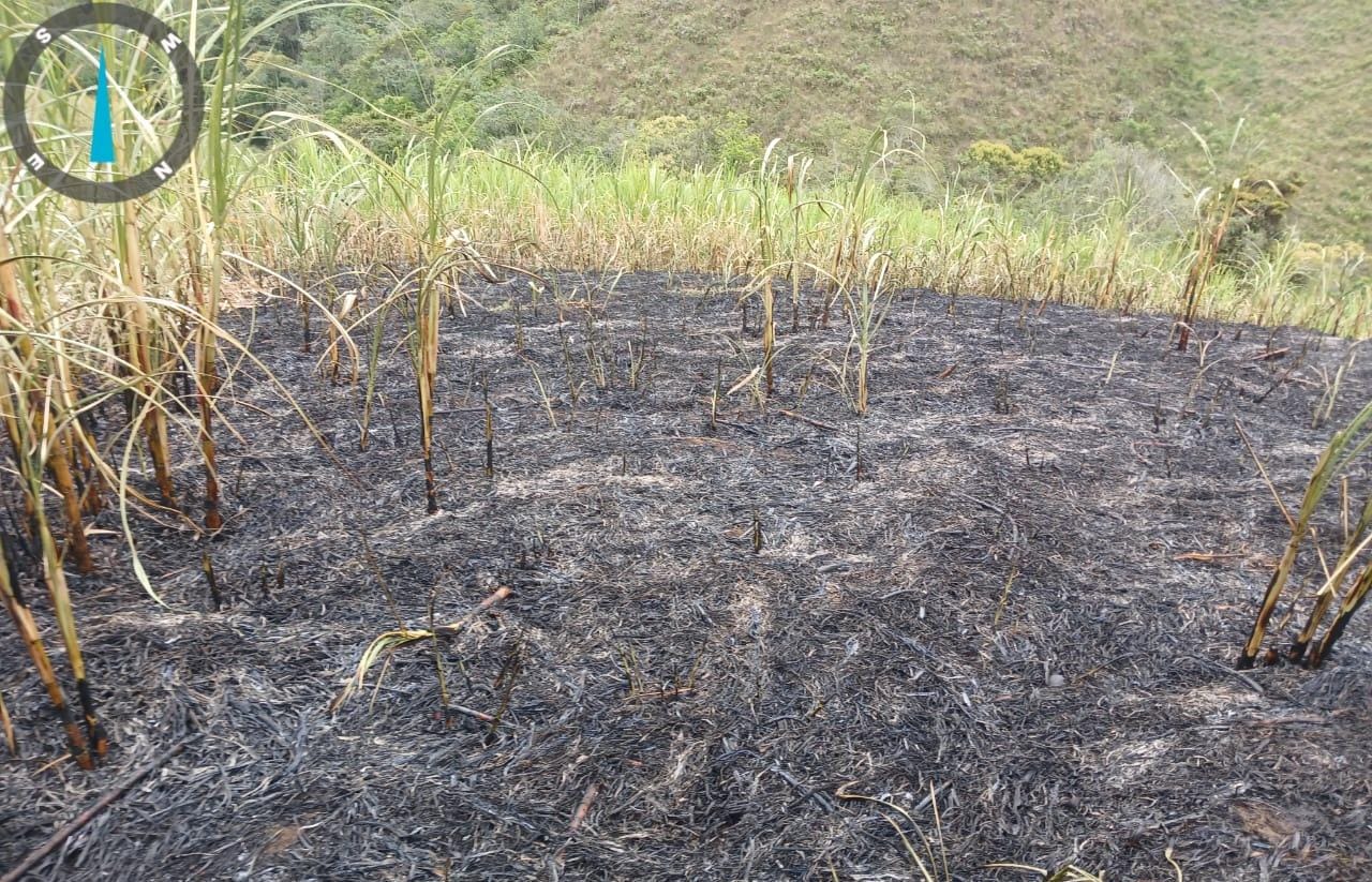 Incendio cultivo de caña en el Huila.