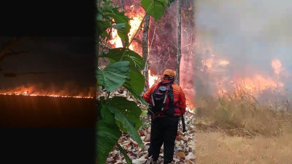 Incendio Tolima Septiembre 2024