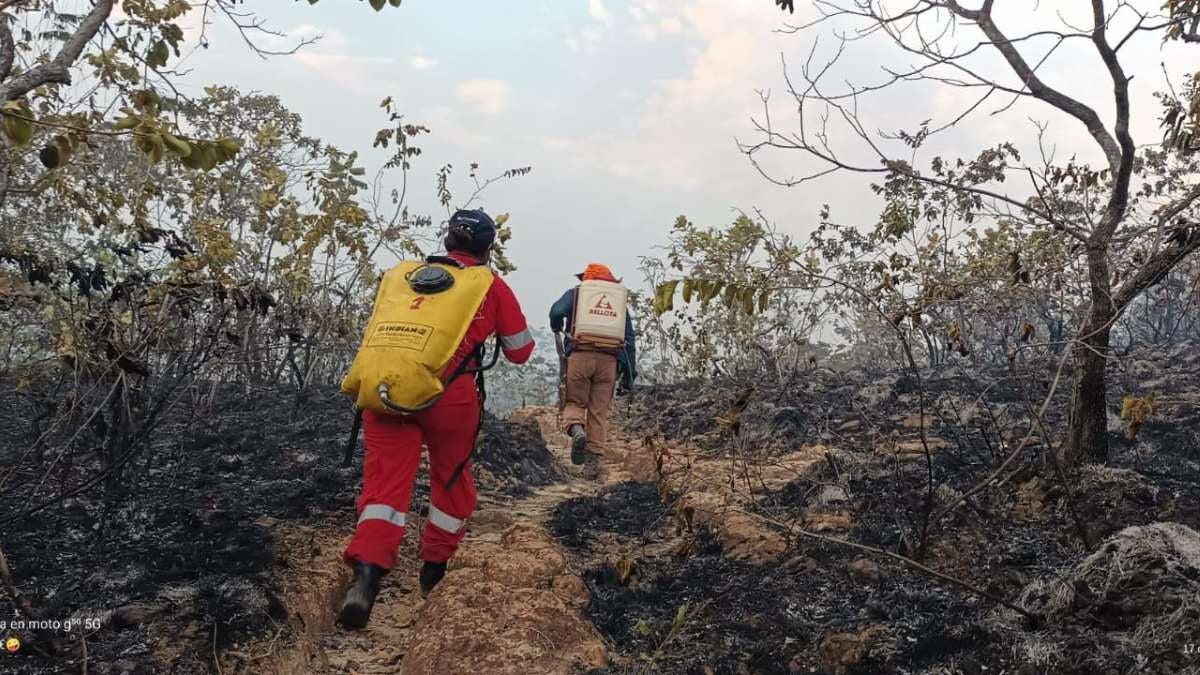 Incendios forestales Tolima | Incendios Tolima | Incendio vegetal Tolima | Septiembre 2024