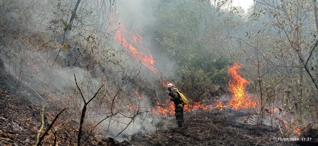 Decretan calamidad pública por incendios forestales en el Huila.