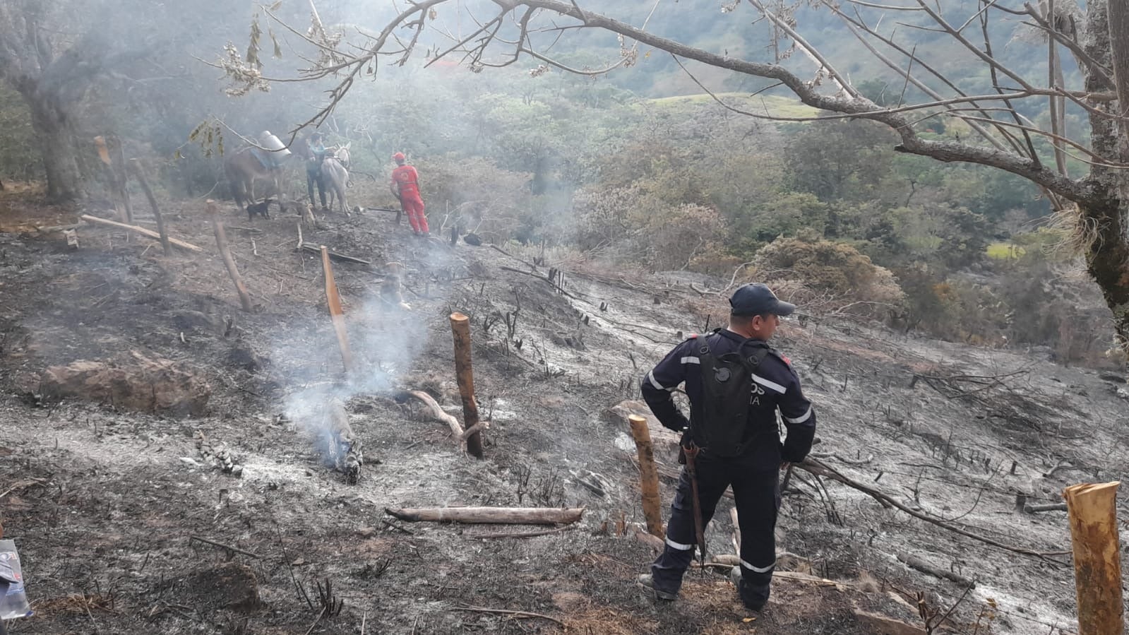 Zonas afectadas por incendios en el Huila tardarán hasta 30 años en recuperarse.