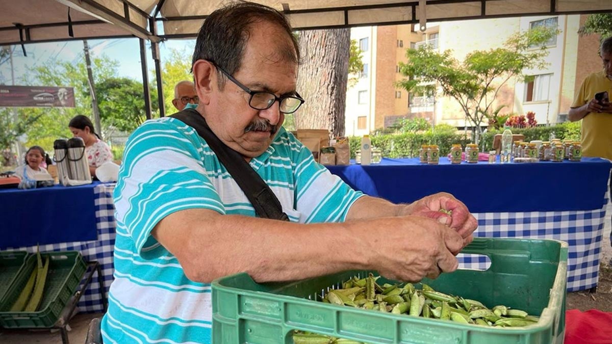 mercado campesino referencia 2024