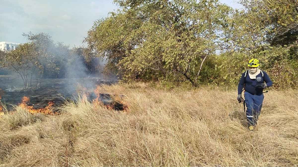 Incendio forestal | Jardín botánico | Neiva | Septiembre 2024