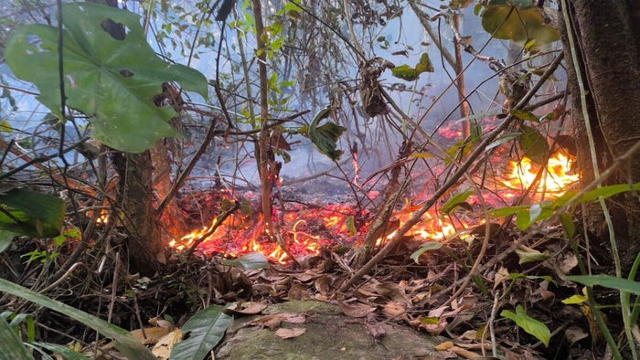 Incendio forestal carmen de bulira
