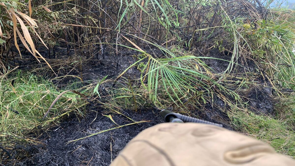 Incendios forestales Ibagué