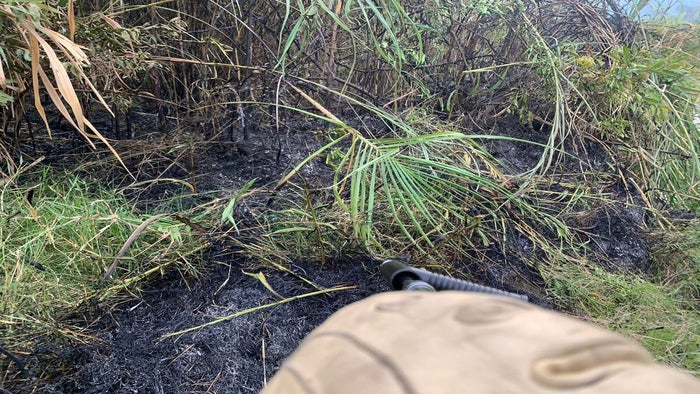 Incendios forestales Ibagué