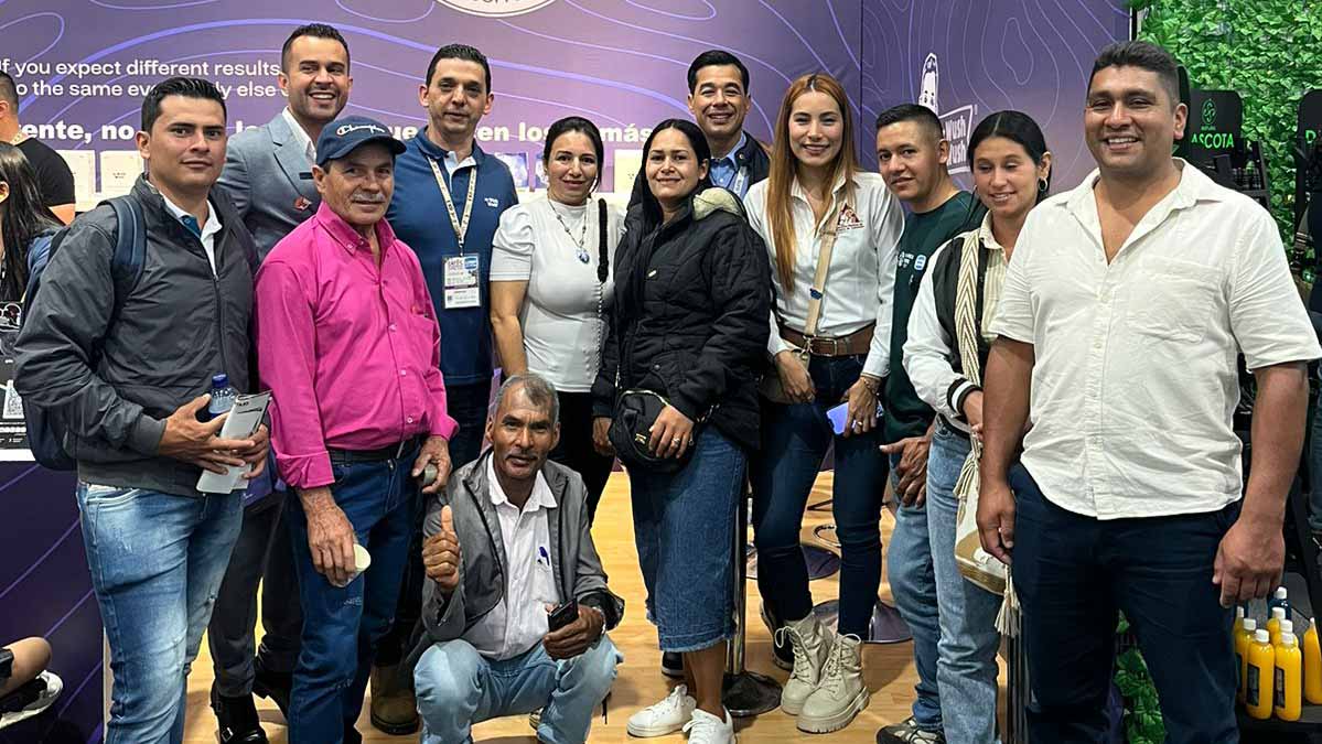 Caficultores tolimenses 2024