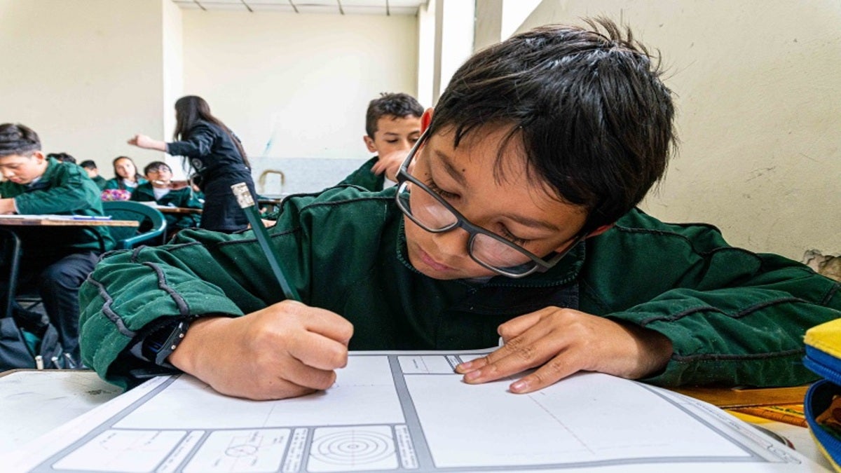 matricula escolar ibagué