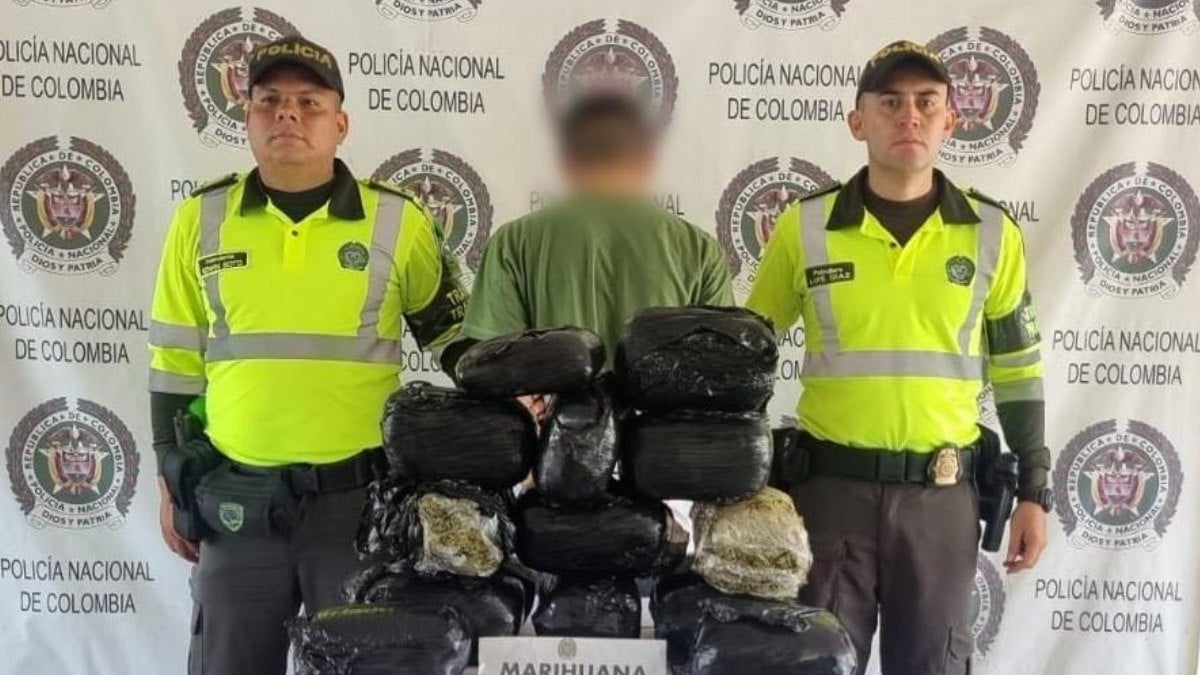 Captura | Tráfico de estupefacientes | Tolima | Octubre 2024