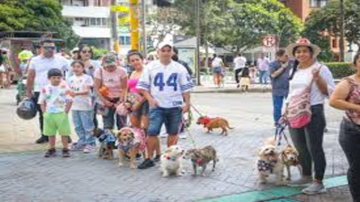 caminata de peluditos Ibagué