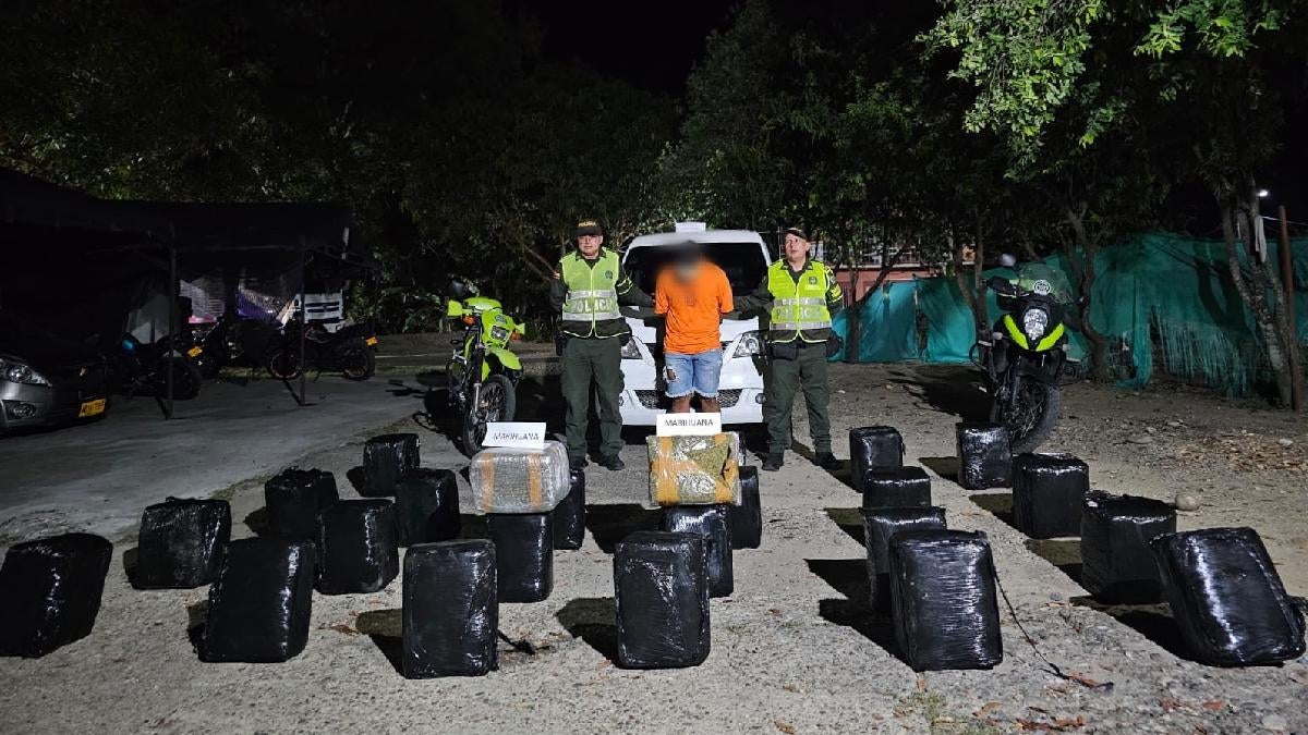 Incautación Droga Tolima Octubre 2024