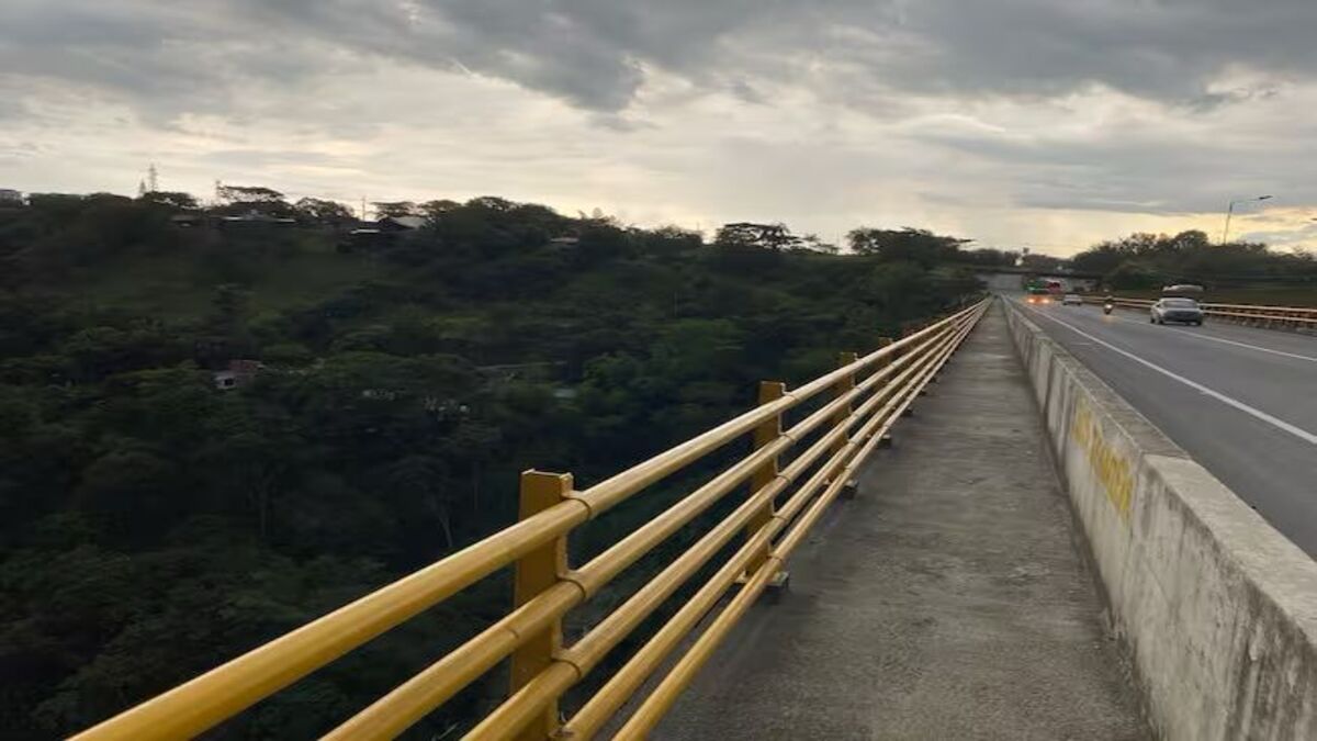 Puente de la variante
